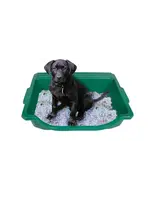 Argee Corp Table Top Gardener Portable Potting Tray