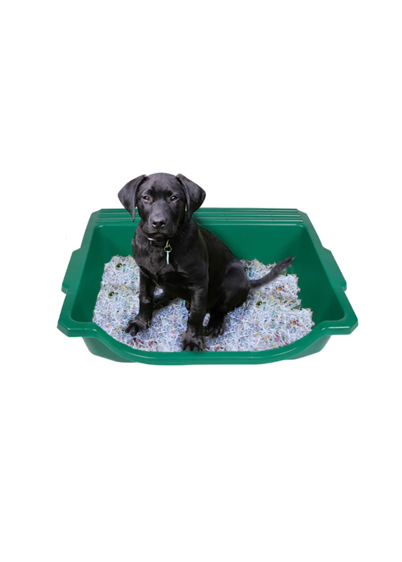 Argee Corp Table Top Gardener Portable Potting Tray