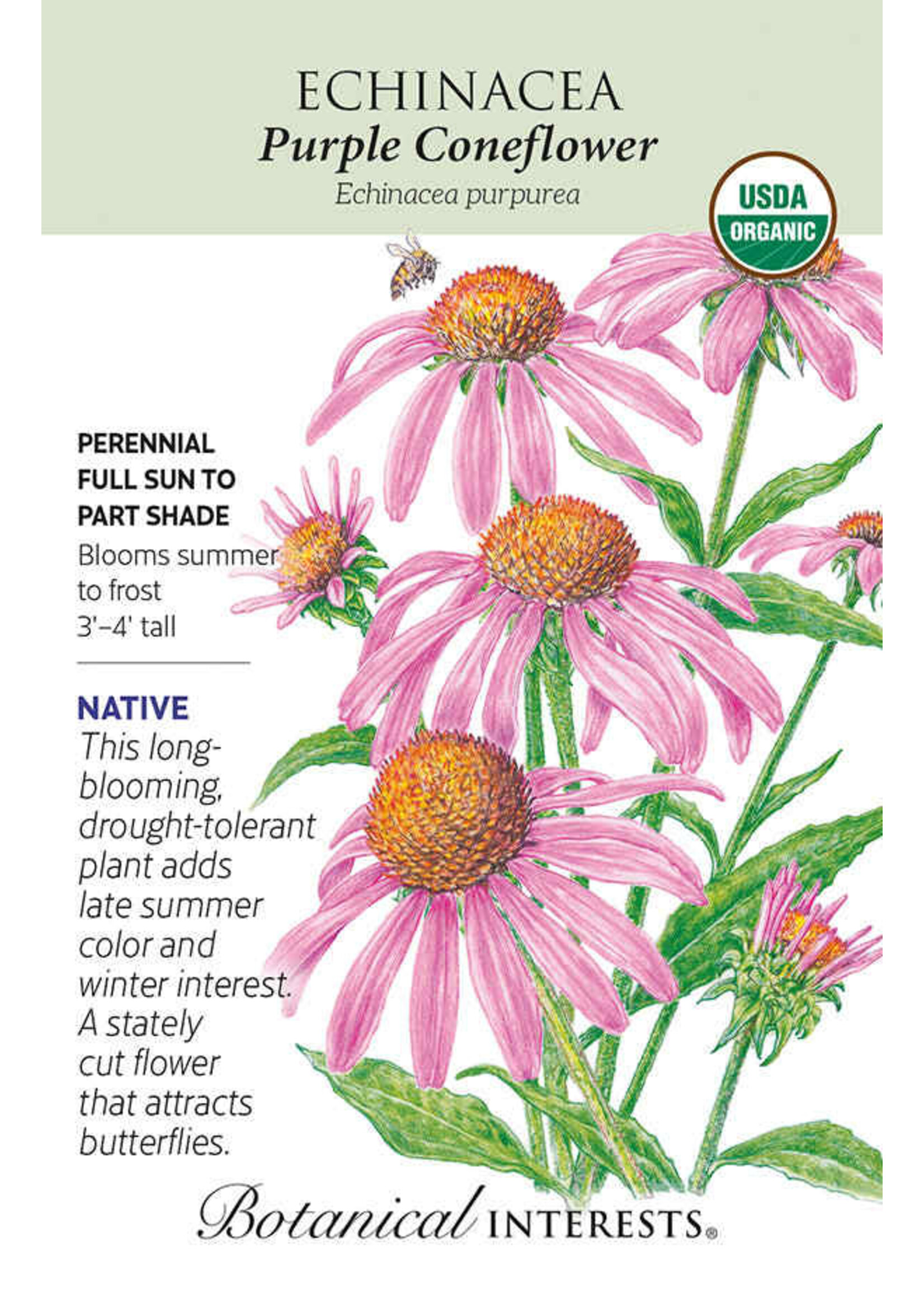 Botanical Interests Echinacea Purple Coneflower Organic
