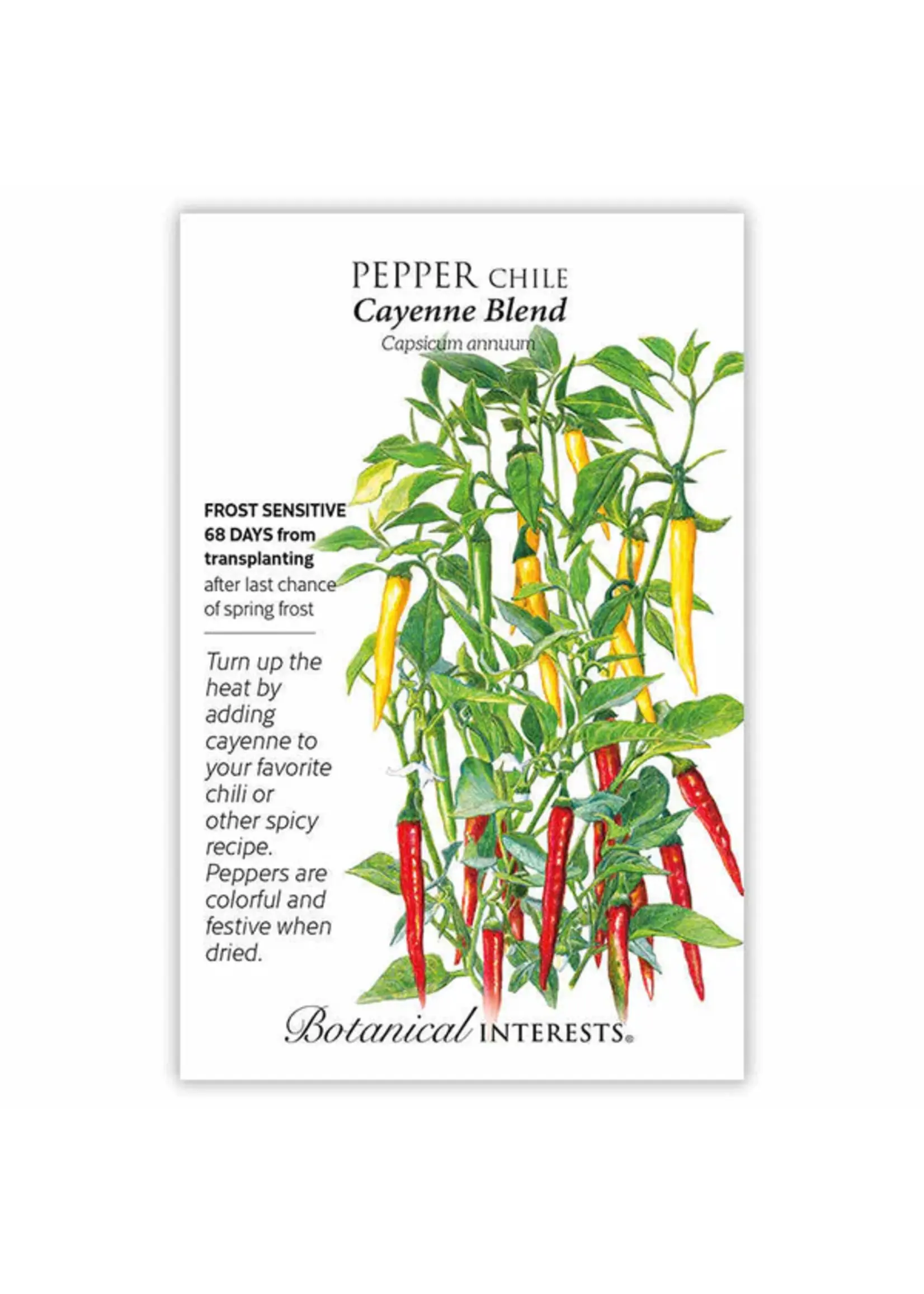 Botanical Interests Pepper Chile Cayenne Blend