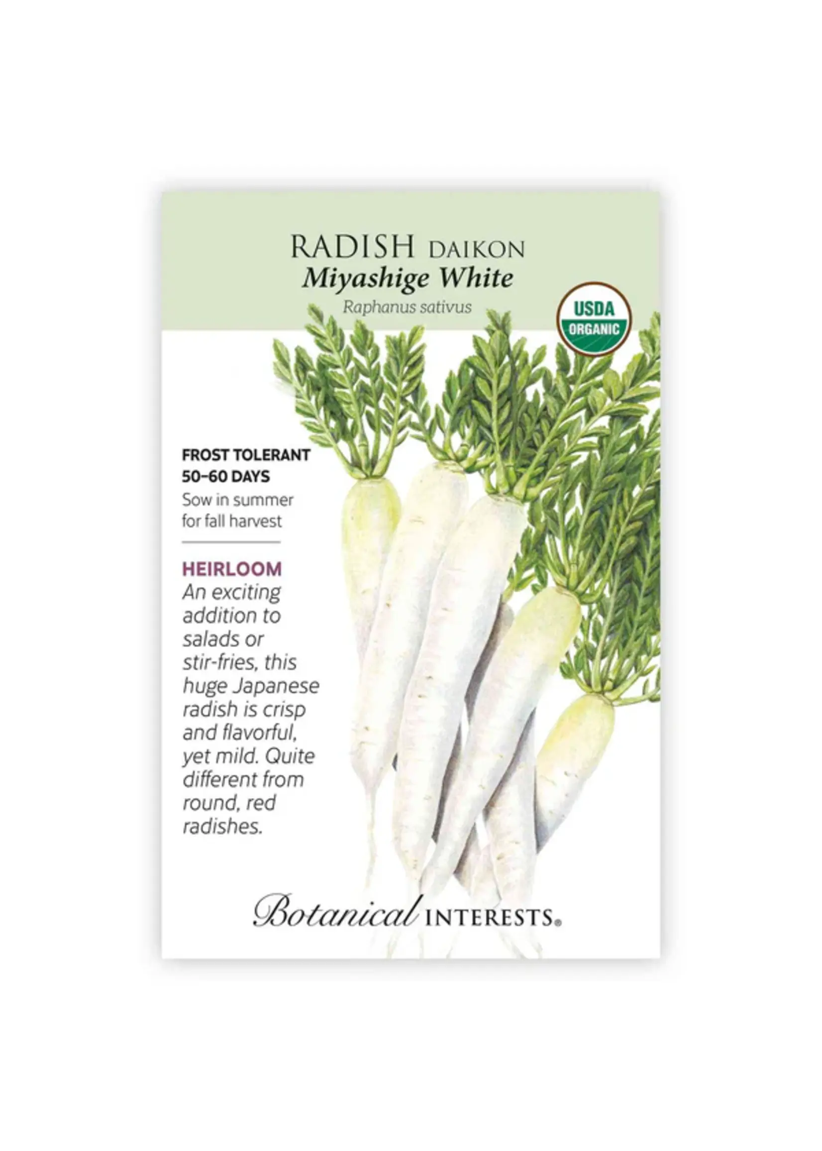 Botanical Interests Radish Daikon (white) Organic