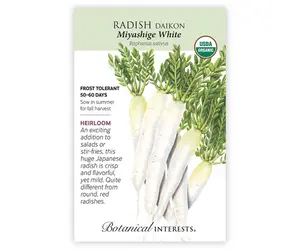 Radish Daikon (white) Organic - RASA Garden Supply Company