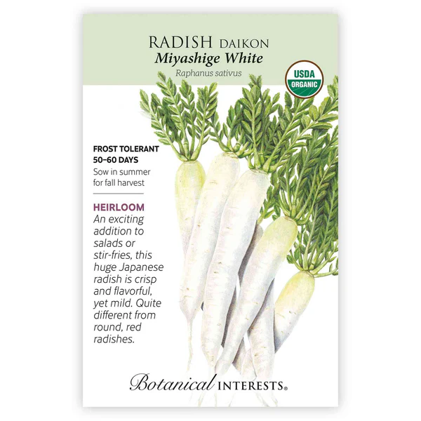 Radish Daikon (white) Organic - RASA Garden Supply Company