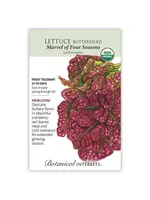 Botanical Interests Lettuce Butterhead Marvel Organic