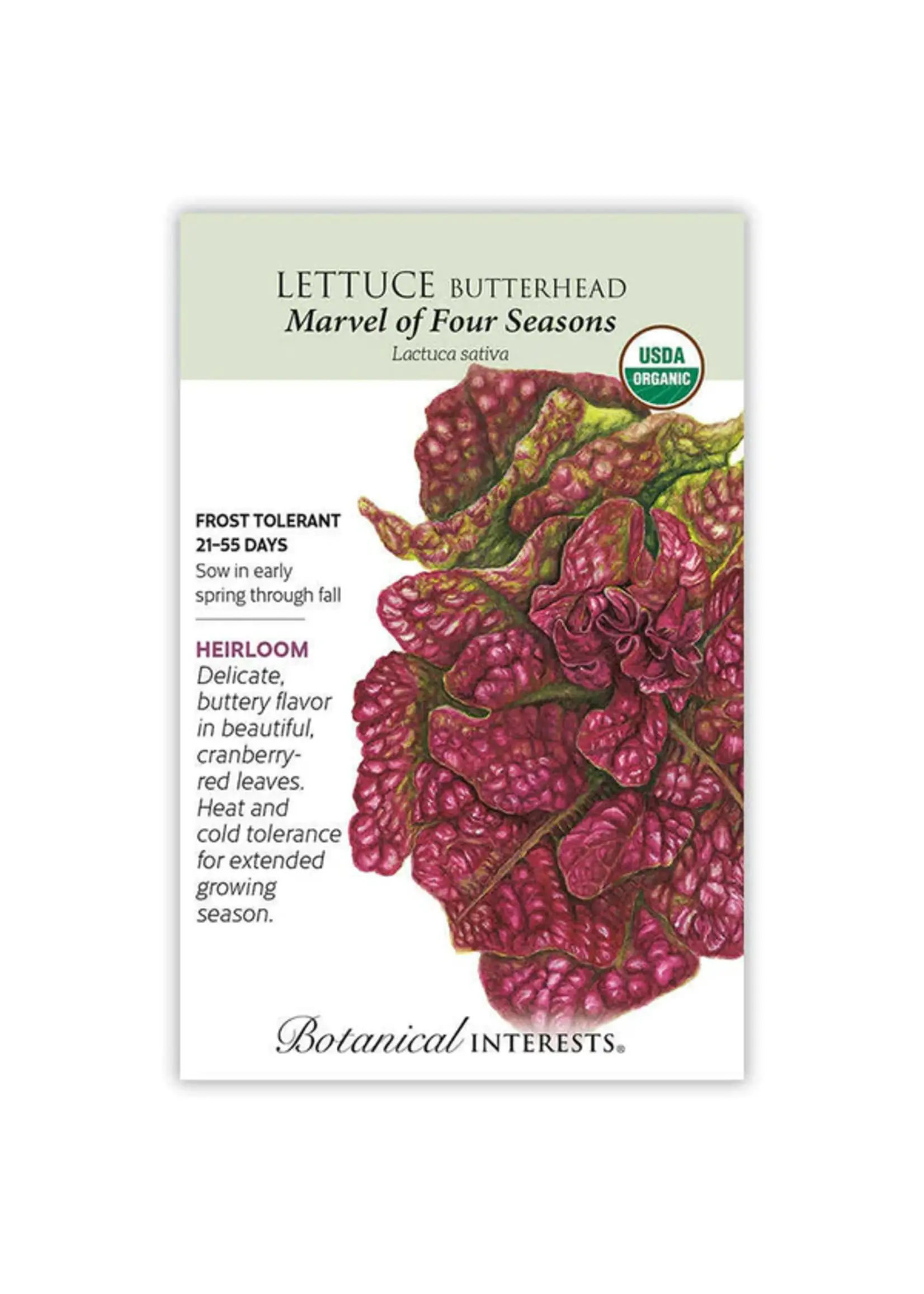 Botanical Interests Lettuce Butterhead Marvel Organic