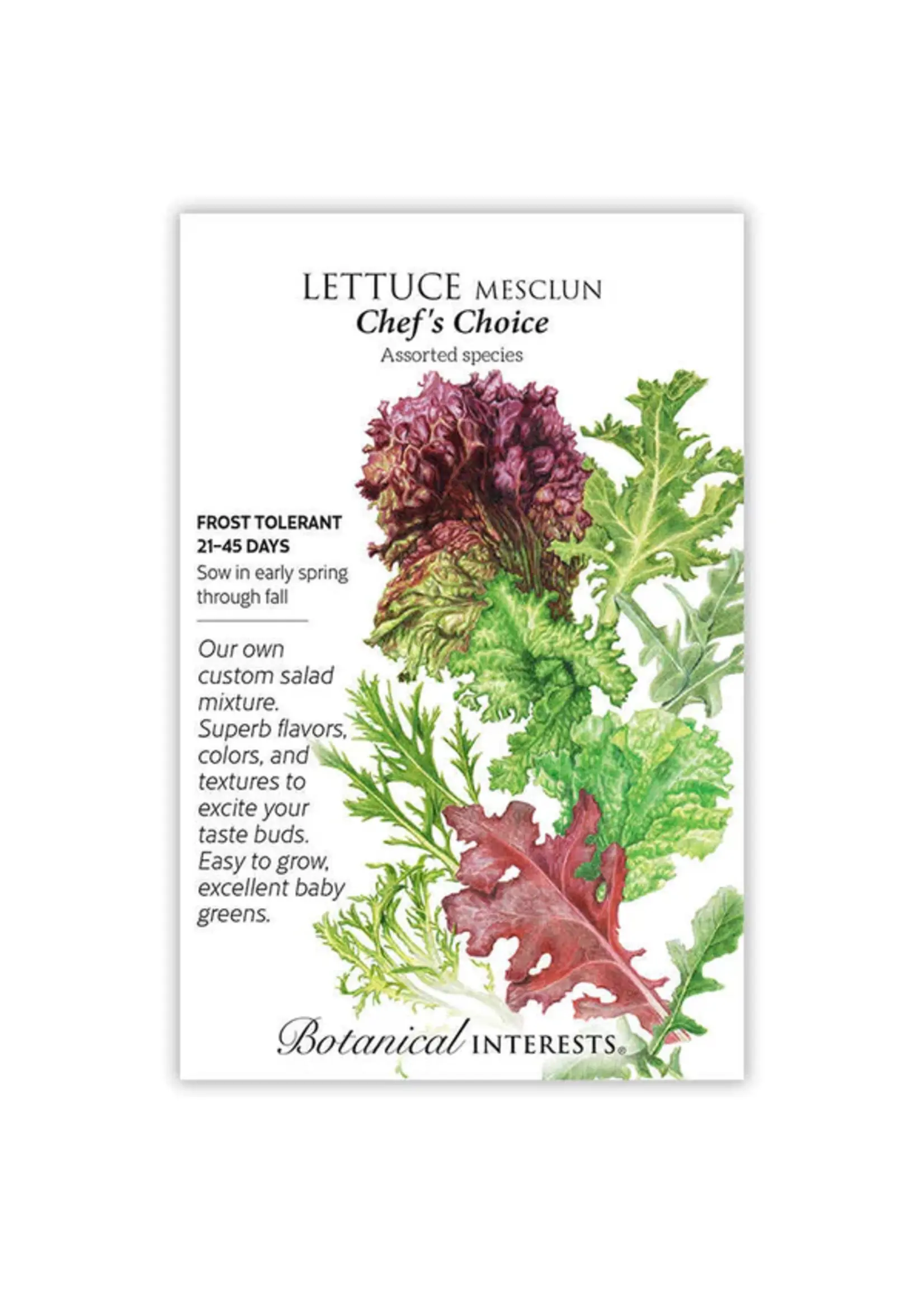 Botanical Interests Lettuce Mesclun Chef's Choice