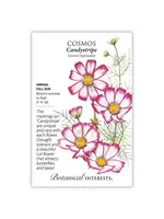 Botanical Interests Cosmos Candystripe