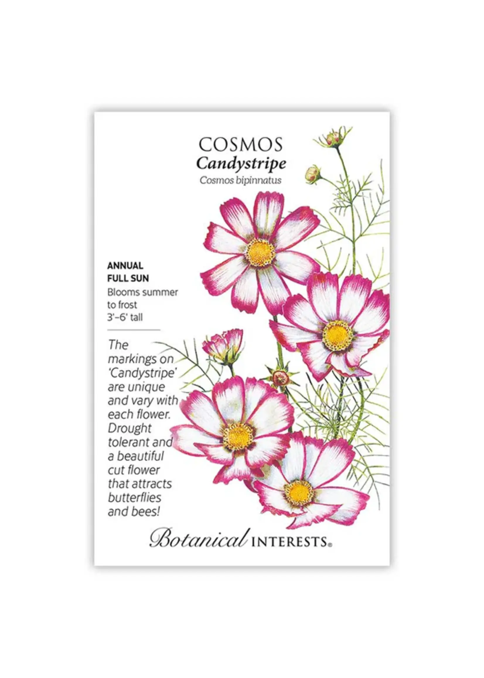 Botanical Interests Cosmos Candystripe