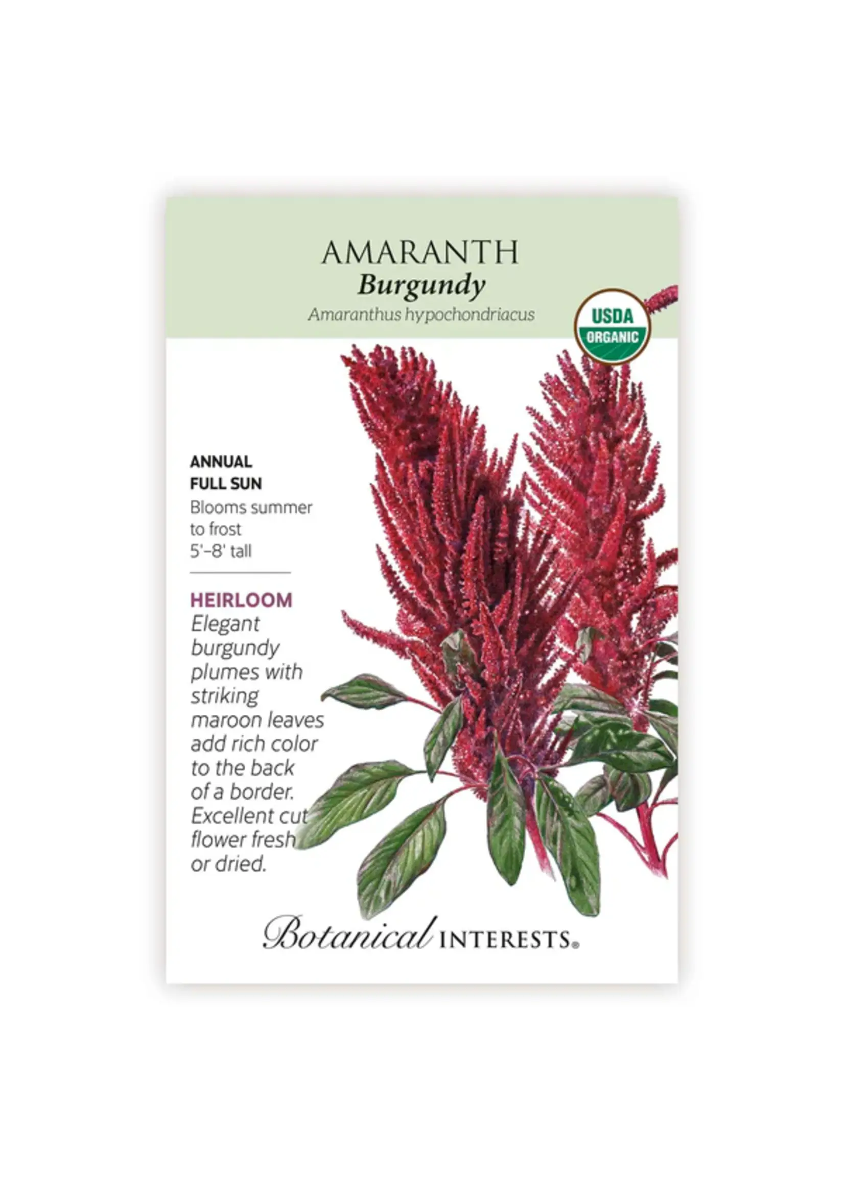 Botanical Interests Amaranth Burgundy Organic