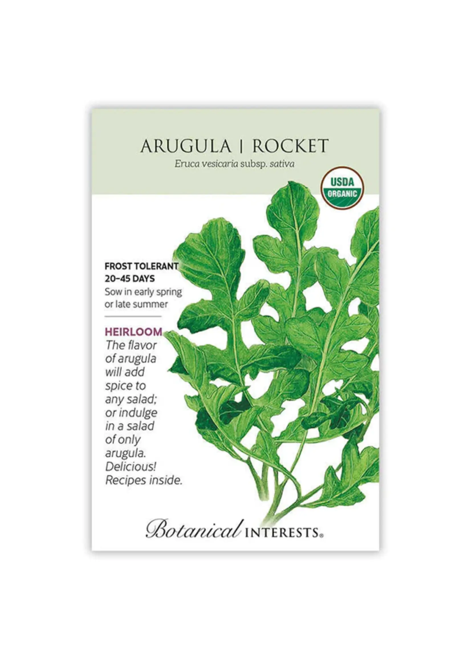 Botanical Interests Arugula Rocket Organic