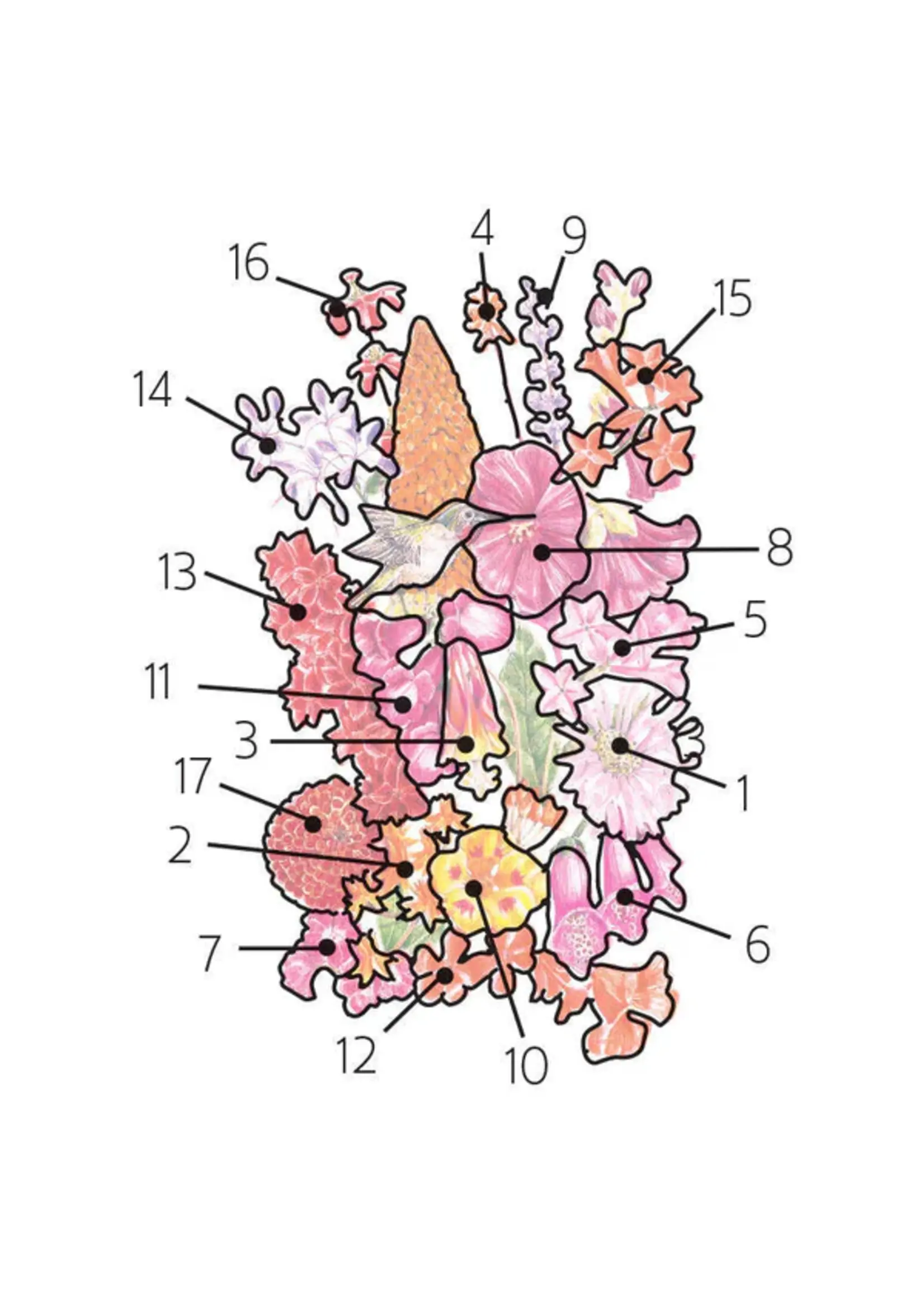 Botanical Interests Flower Mix Hummingbird Haven