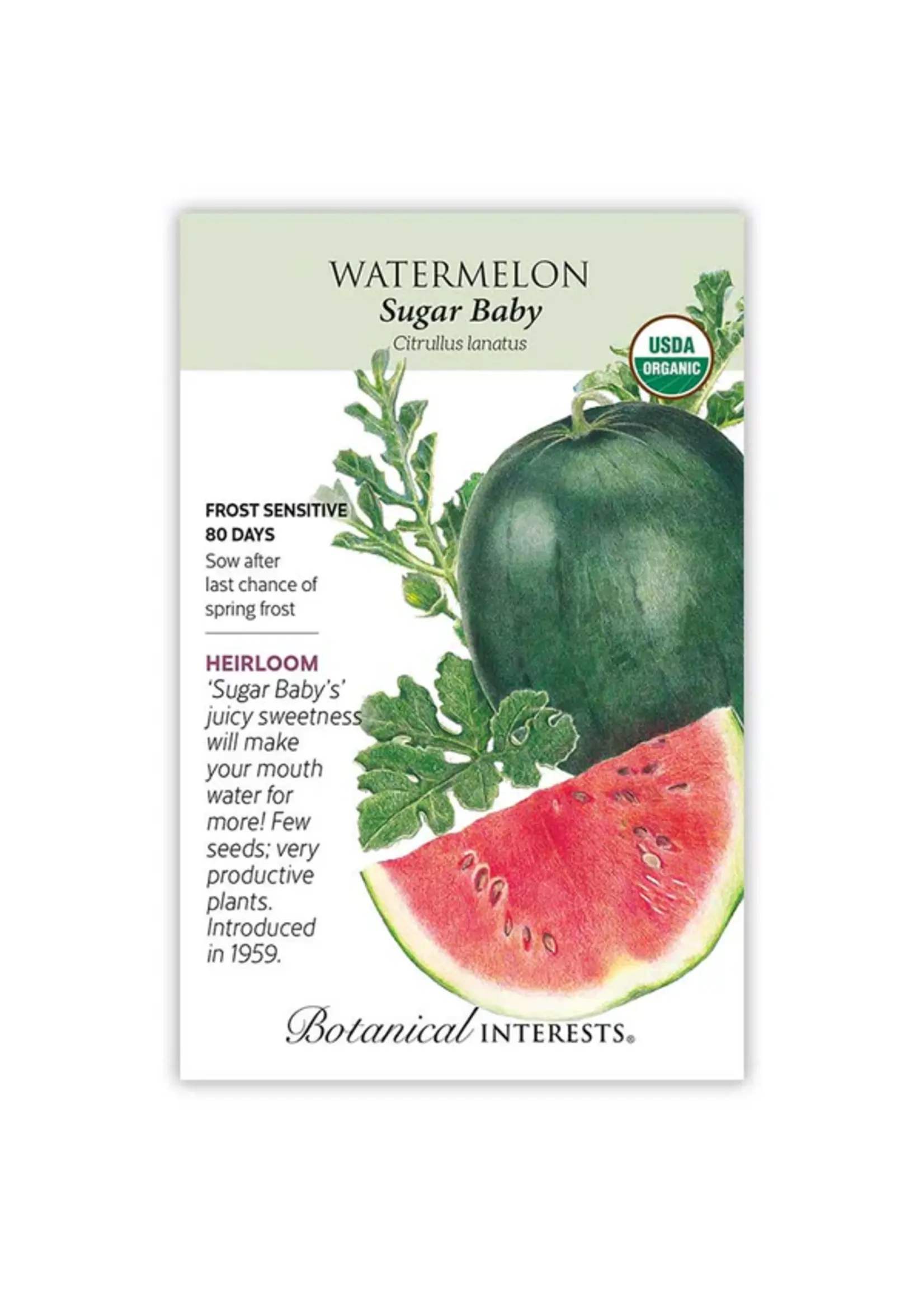 Botanical Interests Watermelon Sugar Baby Organic