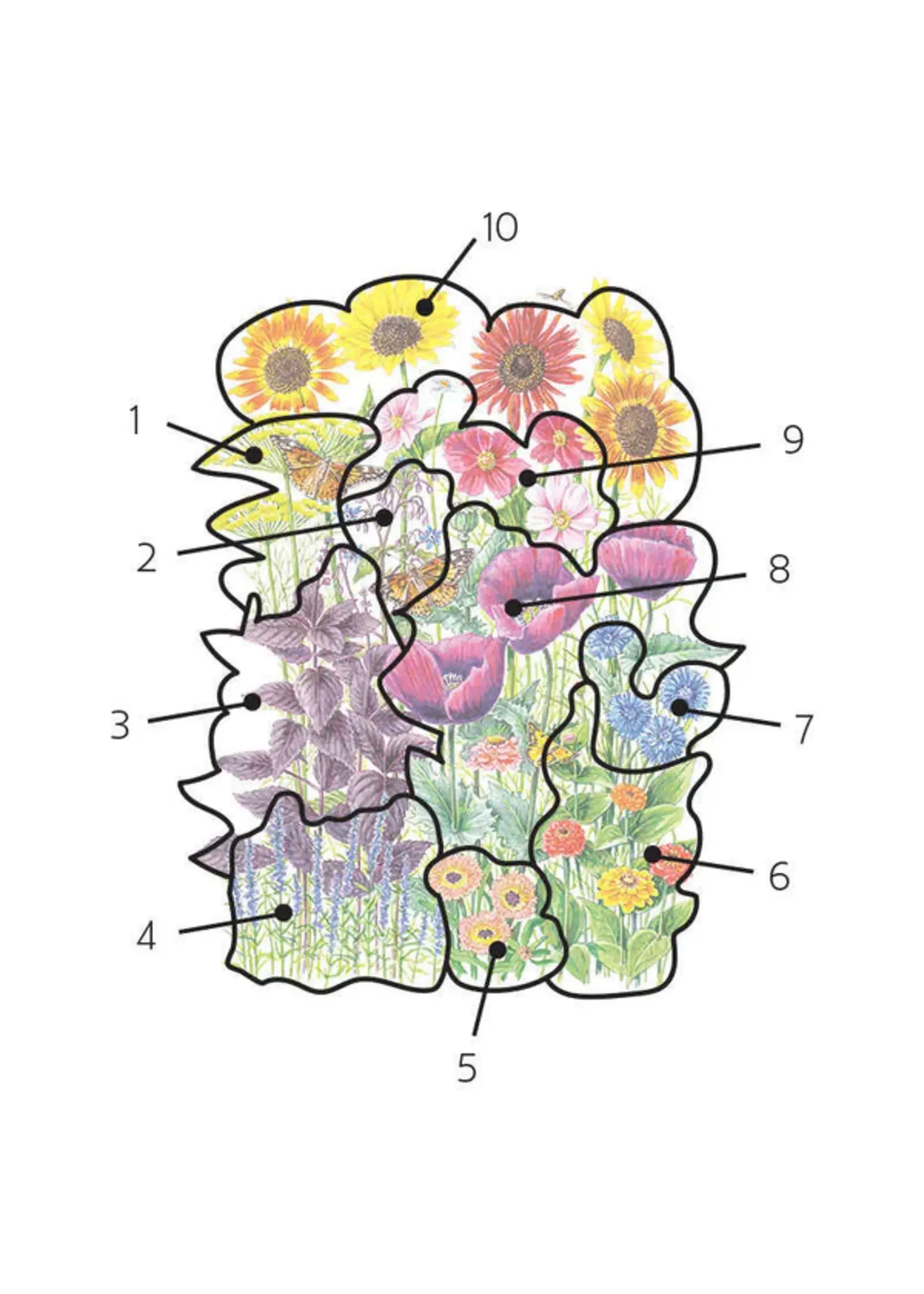 Botanical Interests Flower Mix Pollinator Garden Organic