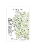 Botanical Interests Alyssum Sweet Tiny Tim