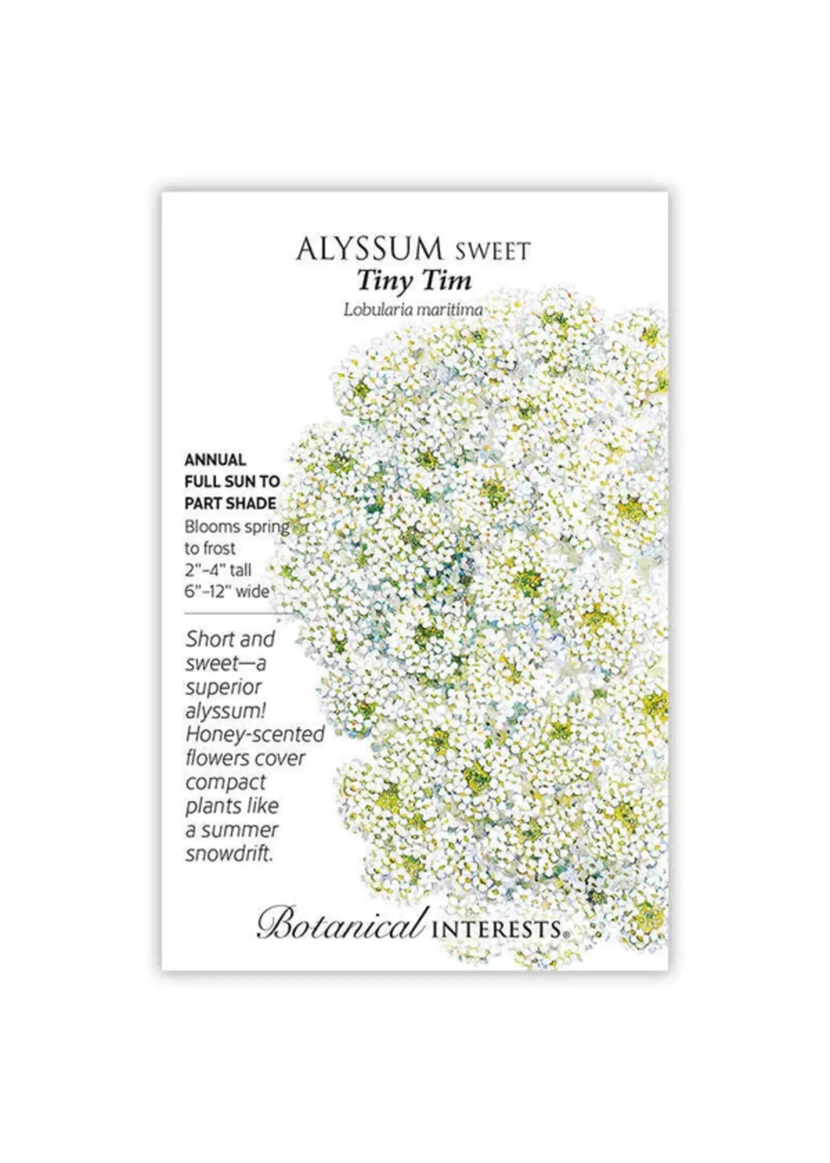 Botanical Interests Alyssum Sweet Tiny Tim