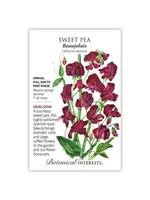 Botanical Interests Sweet Pea Beaujolais