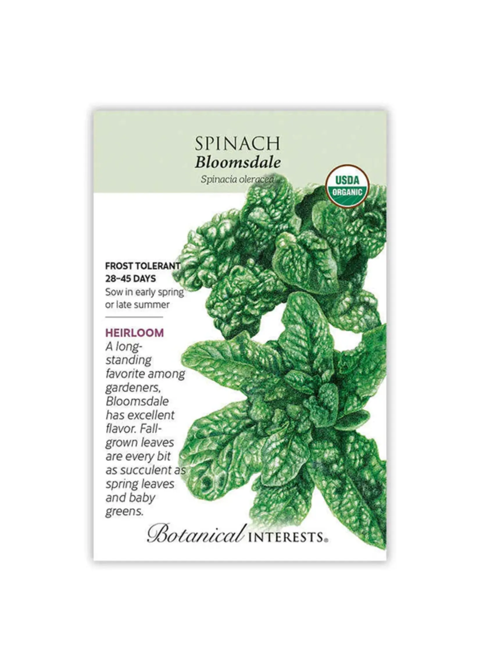 Botanical Interests Spinach Bloomsdale Organic