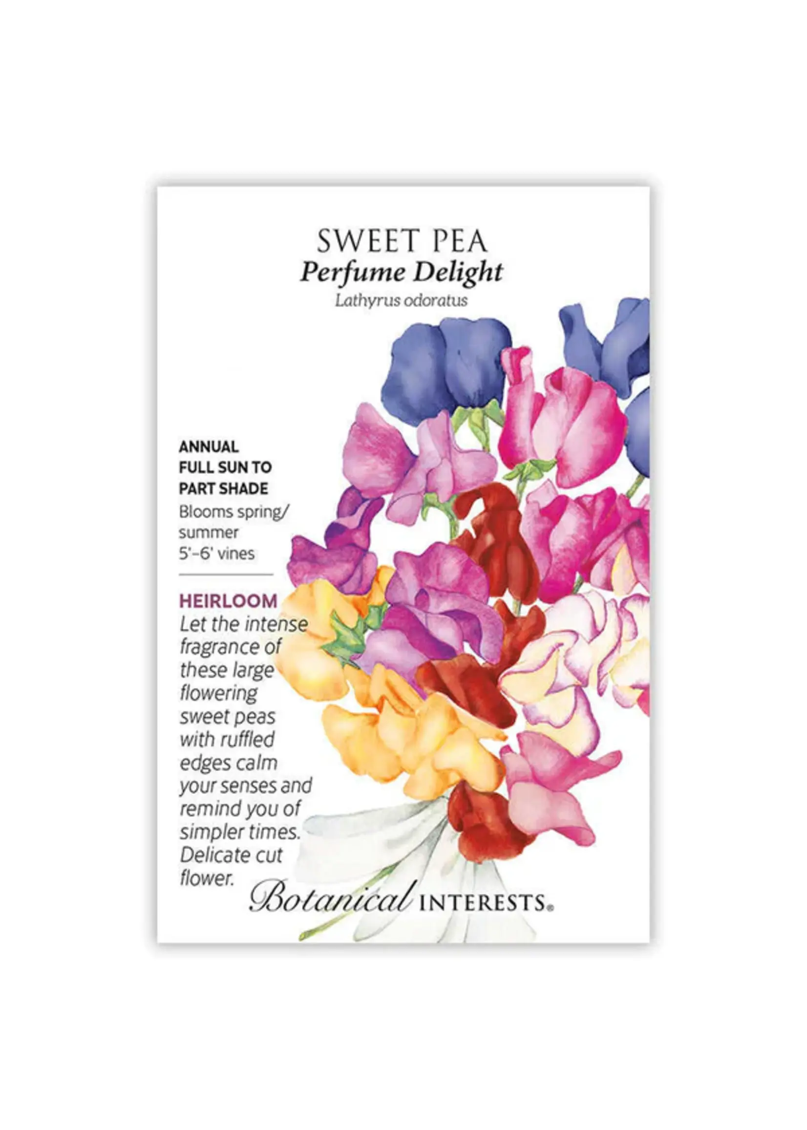 Botanical Interests Sweet Pea Perfume Delight Blend