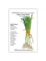Botanical Interests Onion Bunching (white) Tokyo Long