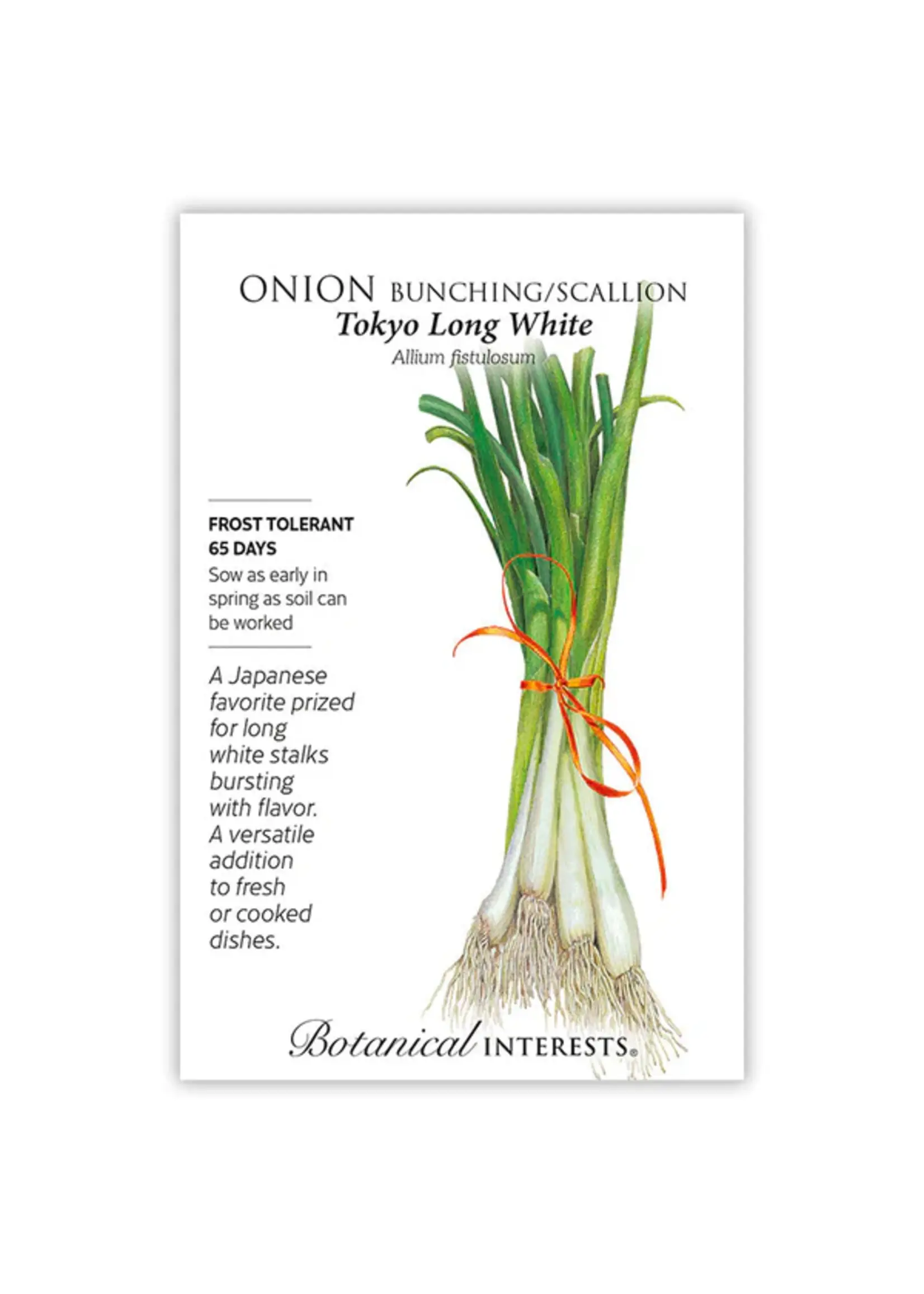 Botanical Interests Onion Bunching (white) Tokyo Long