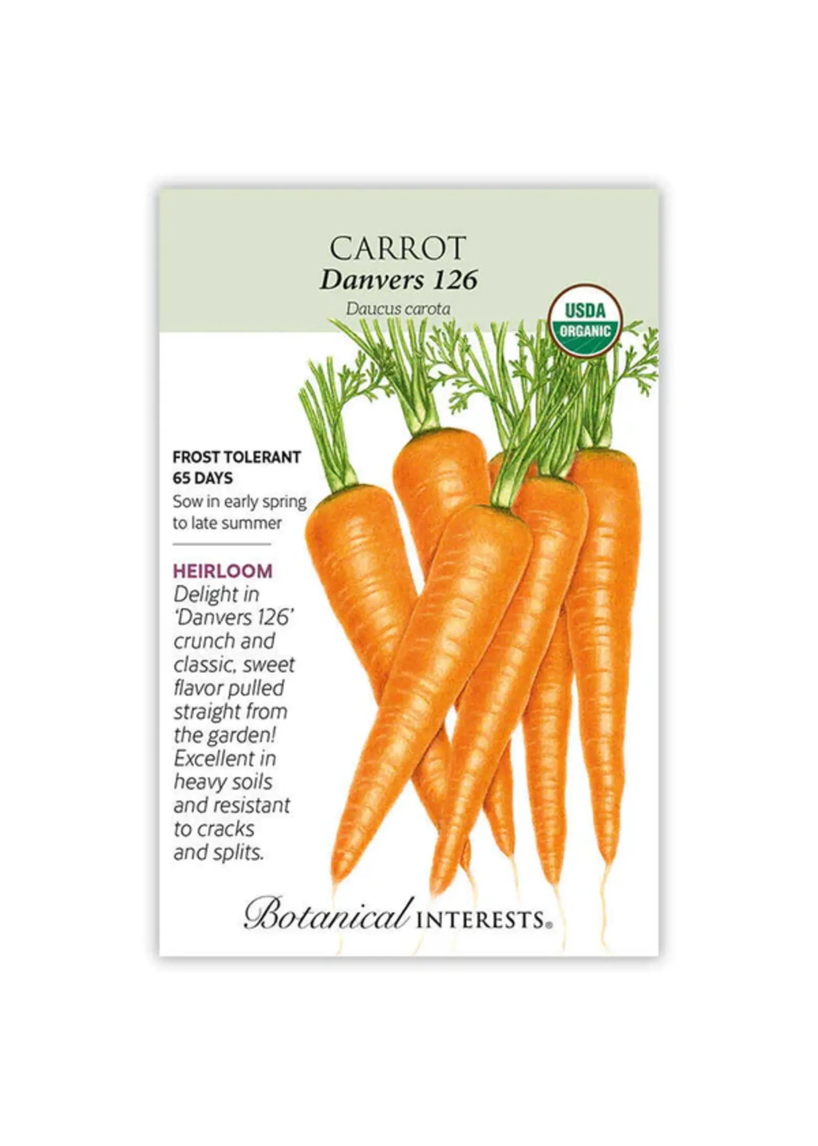Botanical Interests Carrot Danvers Organic