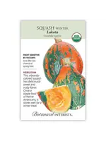Botanical Interests Squash Winter Lakota Organic