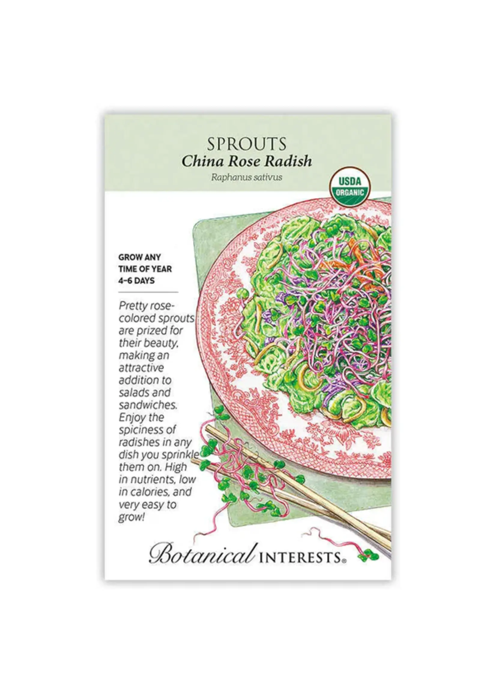 Botanical Interests Sprouts Radish China Rose Organic
