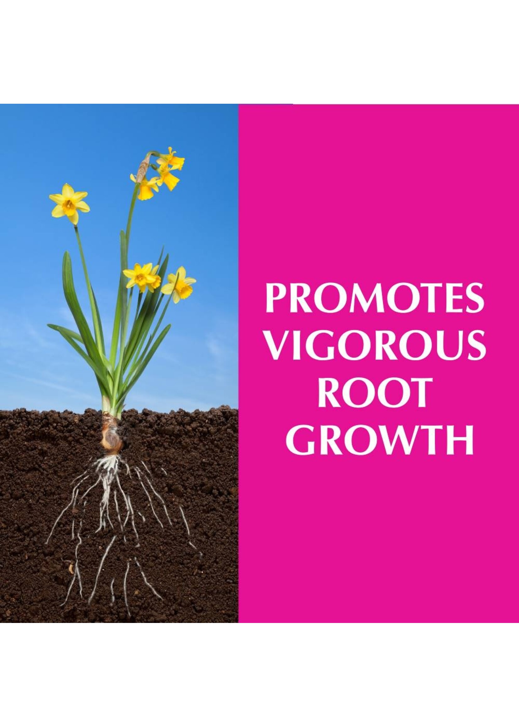 Alaska Alaska Morbloom 0-10-10 Gallon