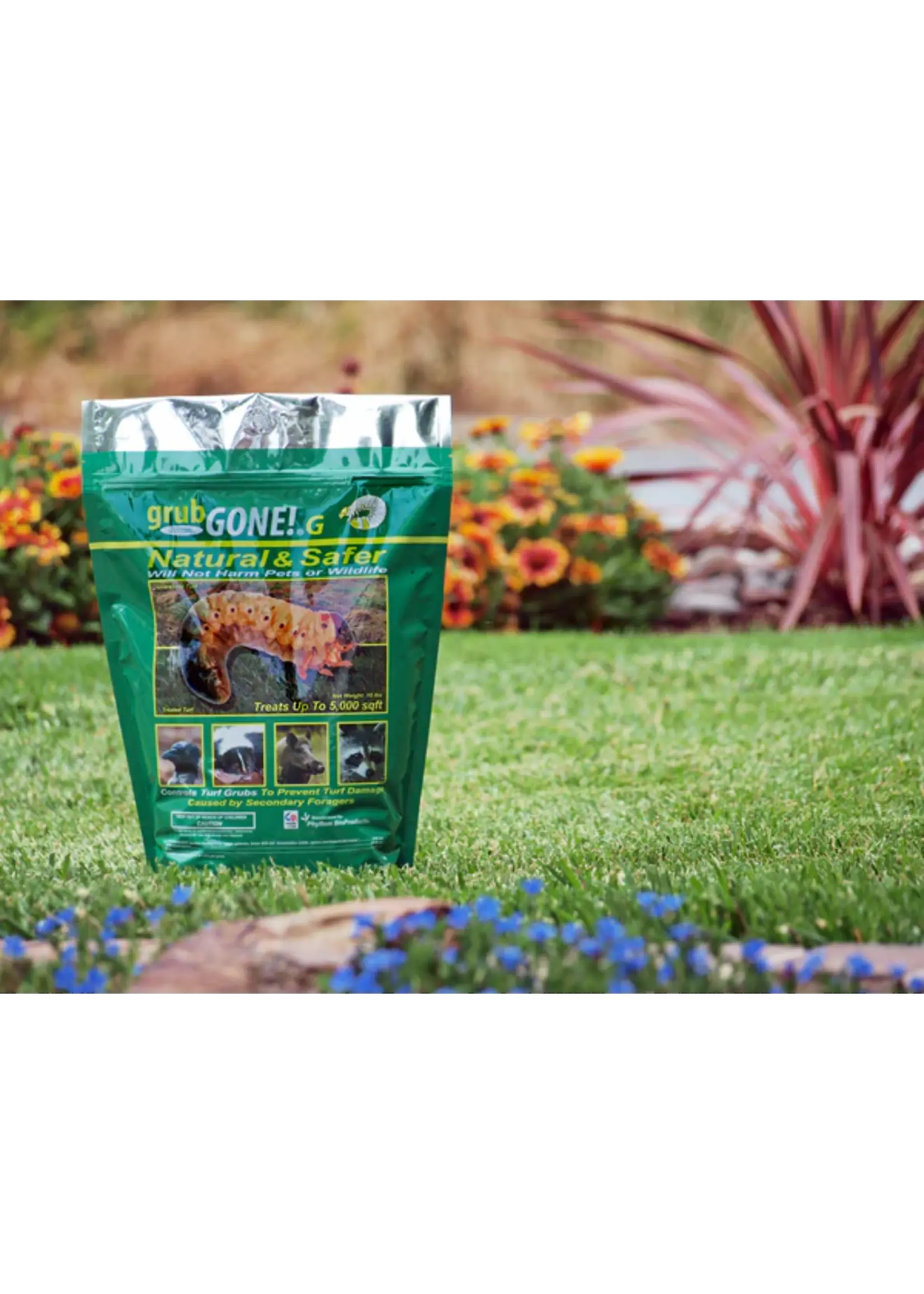 Phyllom BioProducts GrubGONE! Granular 10LB