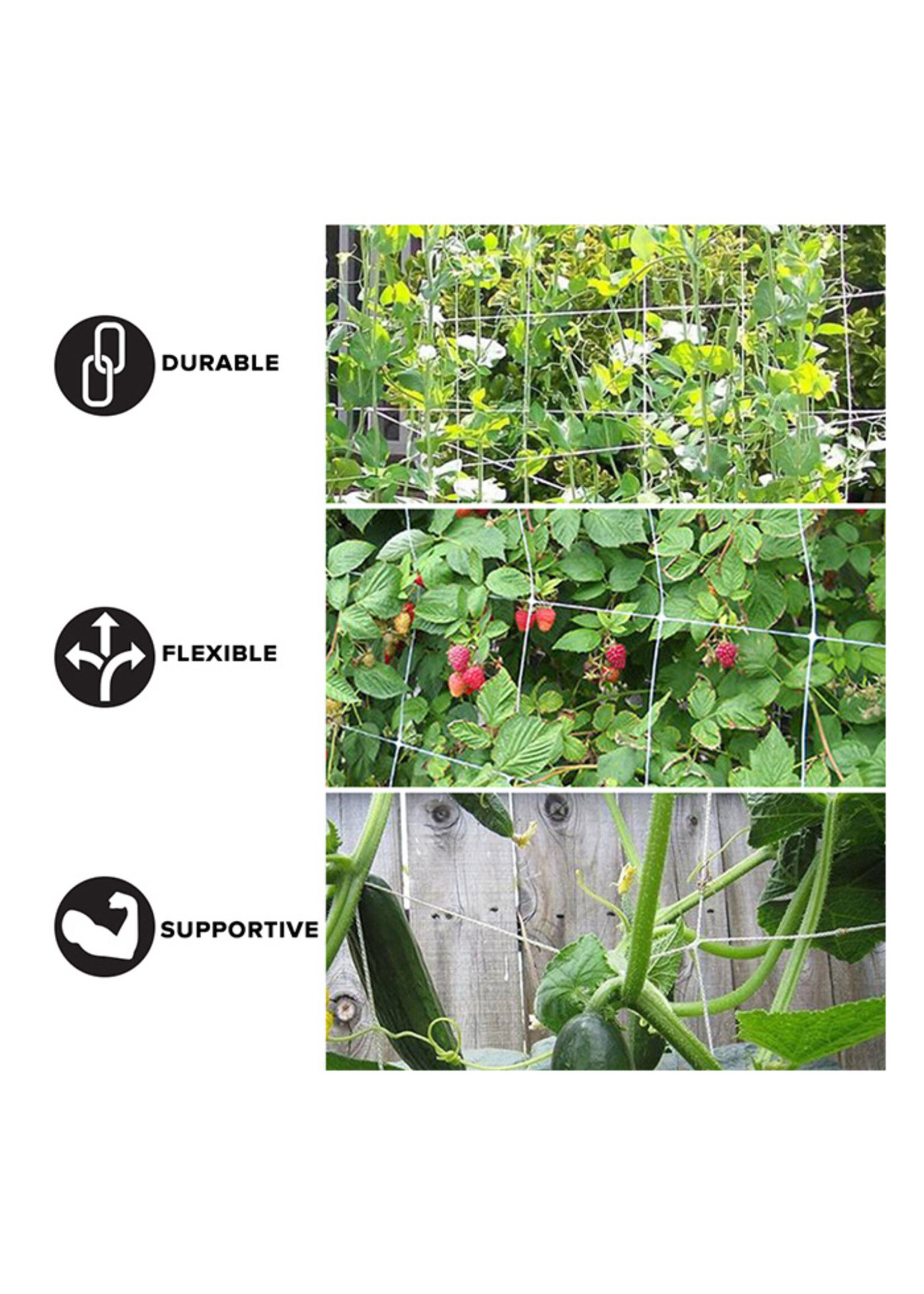 Grow1 Soft Mesh Trellis Netting Bulk Roll 5 ft x 350 ft w/ 6 in Squares