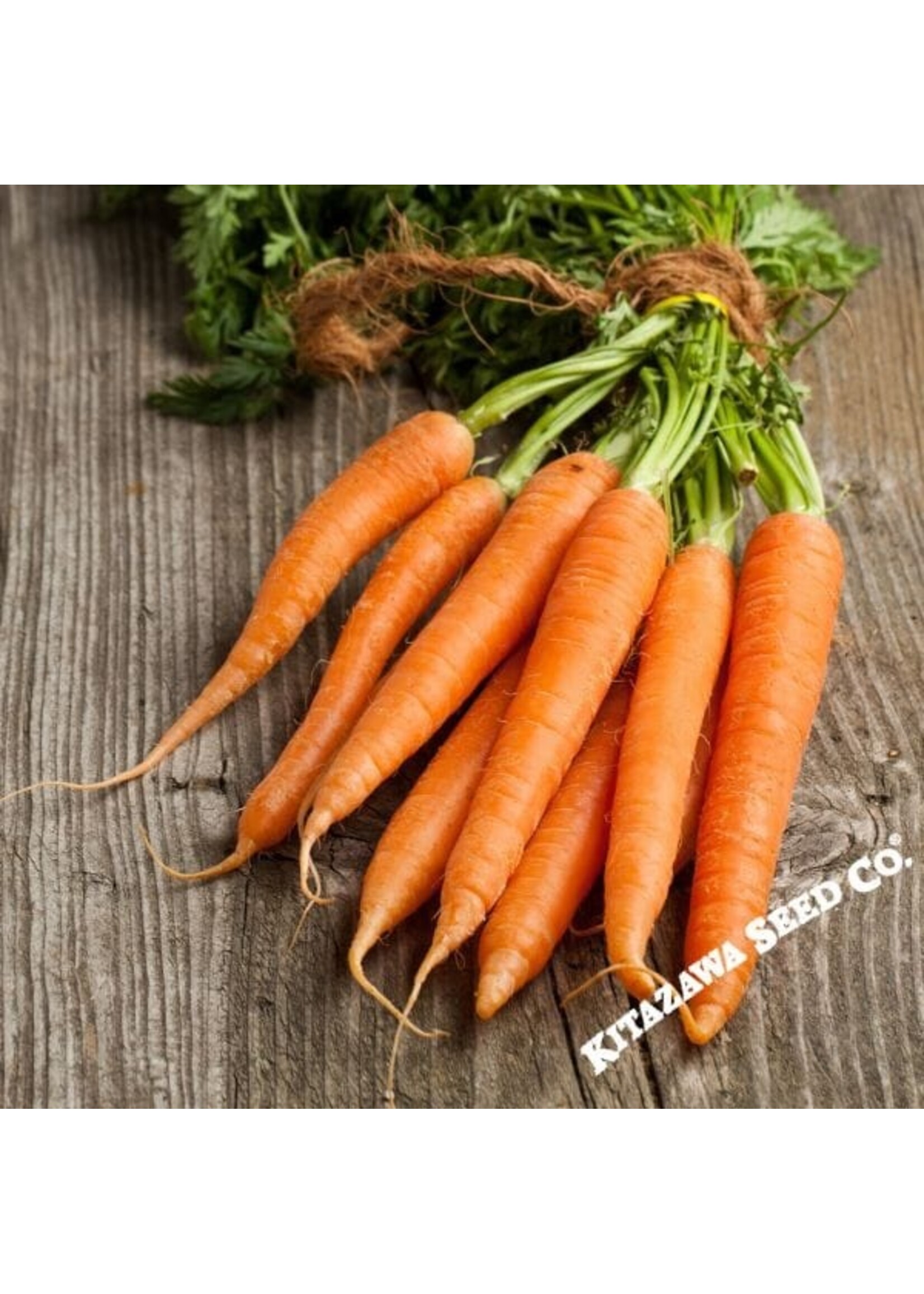 Kitazawa Seed Co. Carrot - Kuroda Long 8 Inch