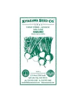 Kitazawa Seed Co. Japanese Turnip - Hakurei Hybrid