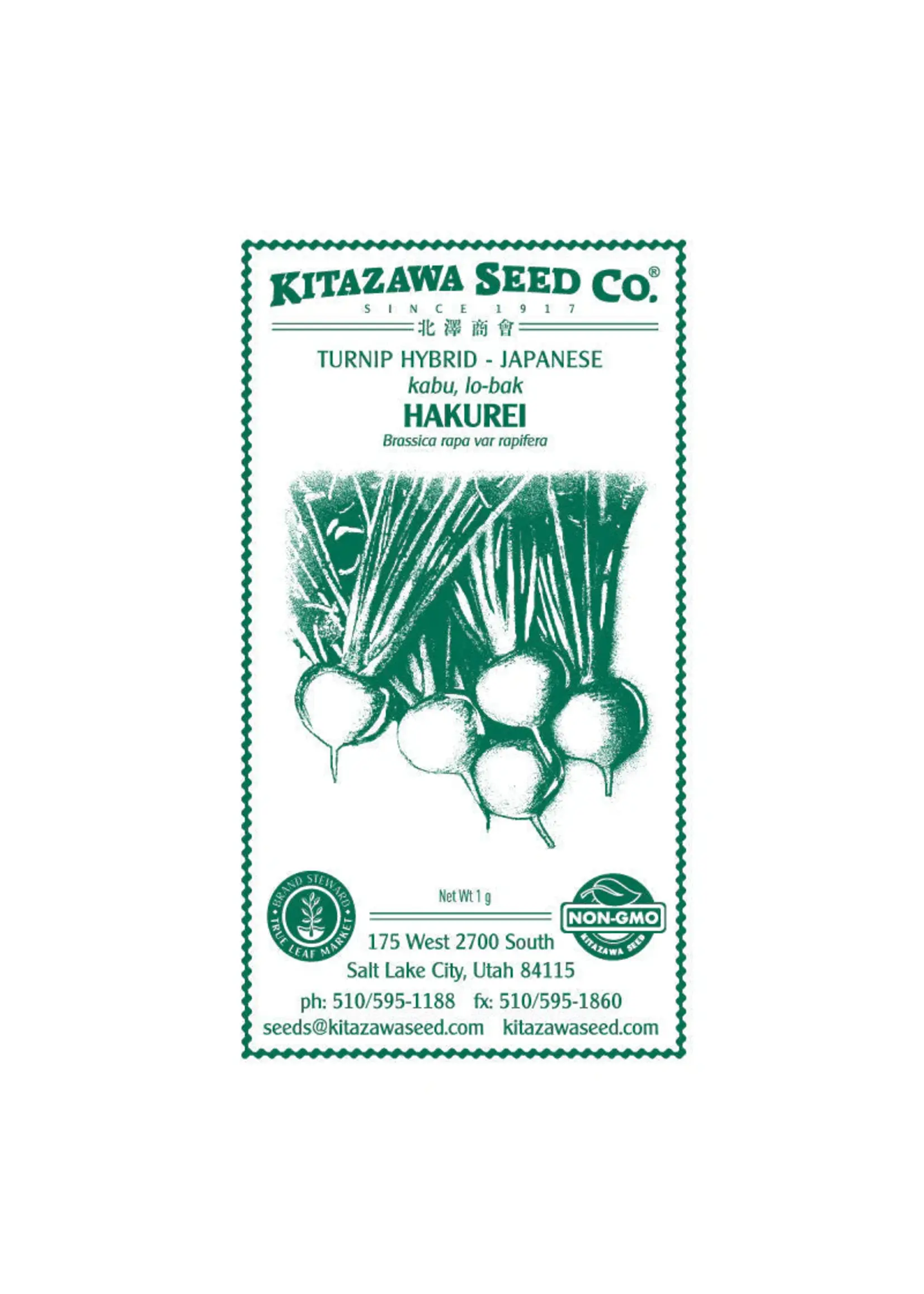 Kitazawa Seed Co. Japanese Turnip - Hakurei Hybrid