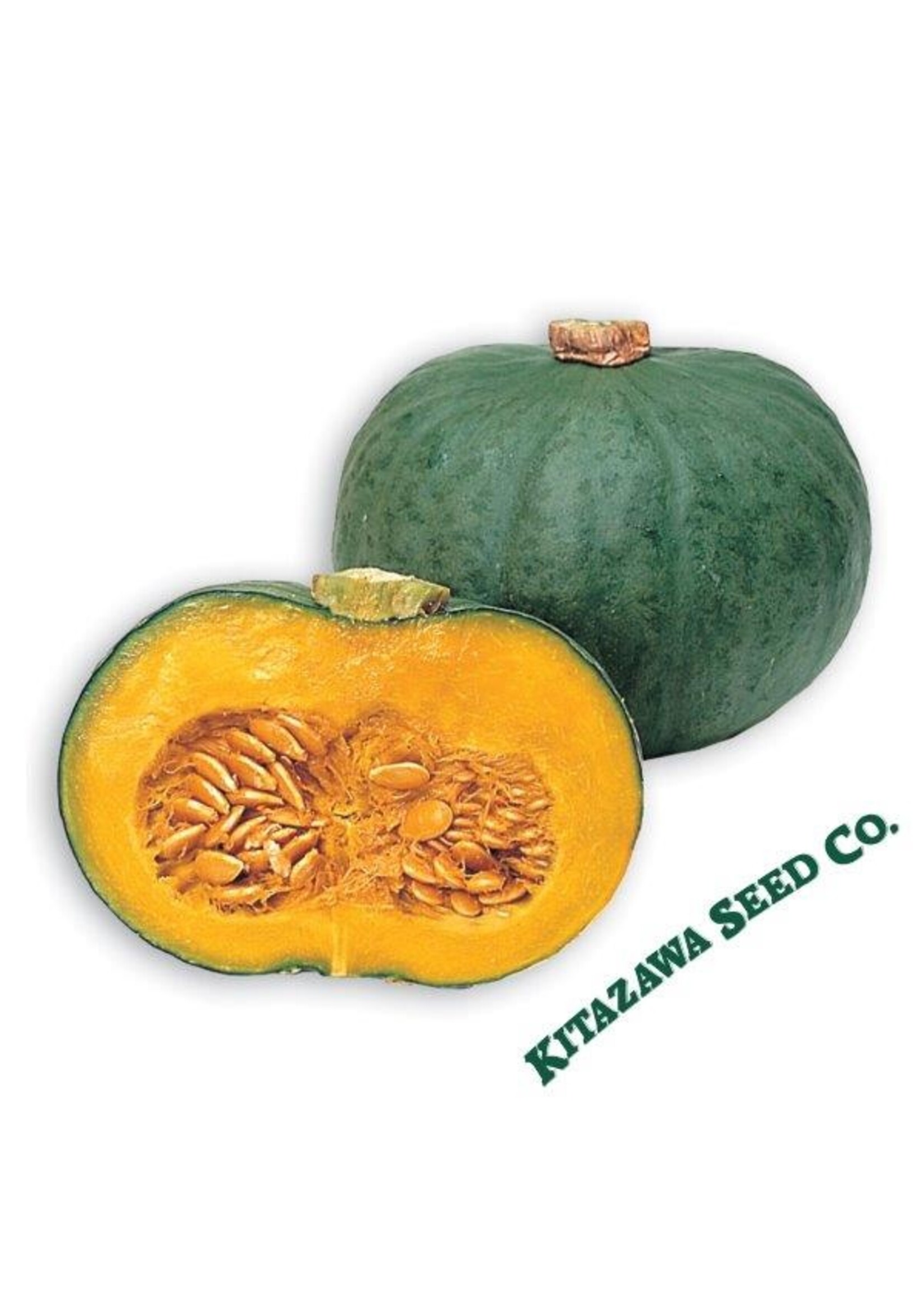 Kitazawa Seed Co. Japanese Winter Squash - Blue Kuri