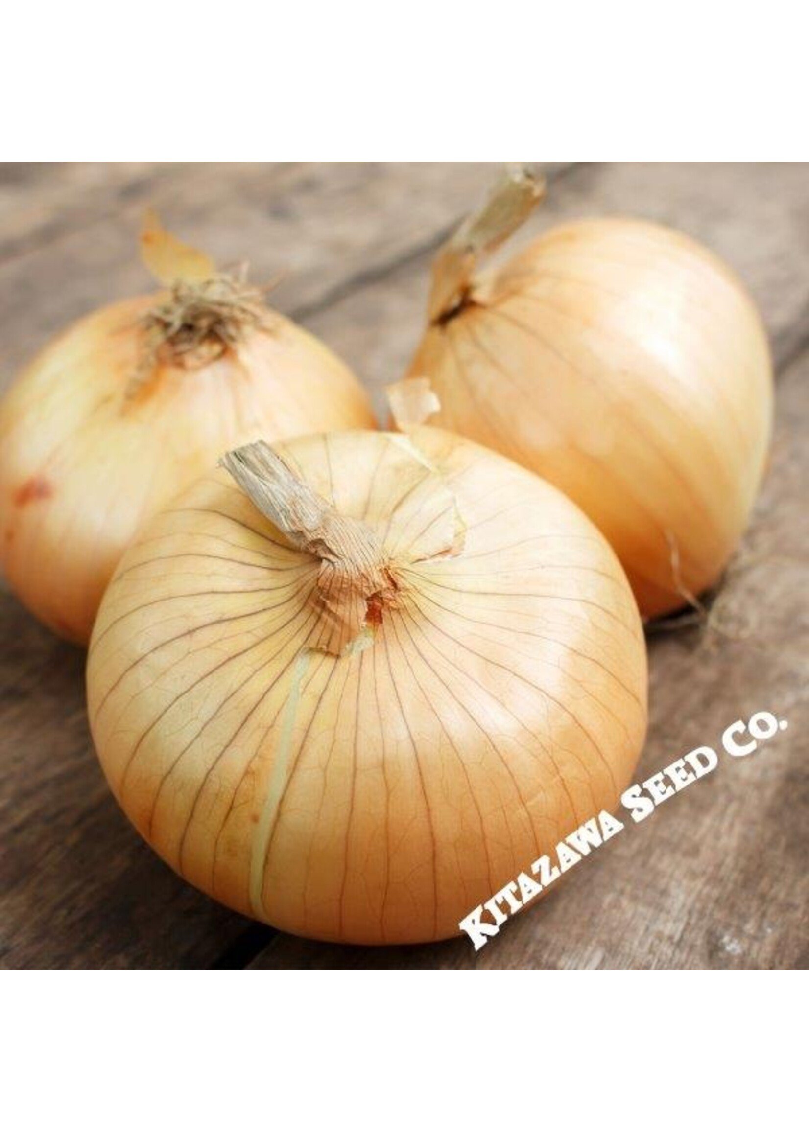 Kitazawa Seed Co. Onion - Early Imai Yellow