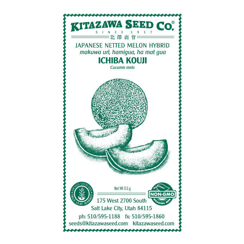 Japanese Melon - Ichiba Kouji Hybrid - RASA Garden Supply Company
