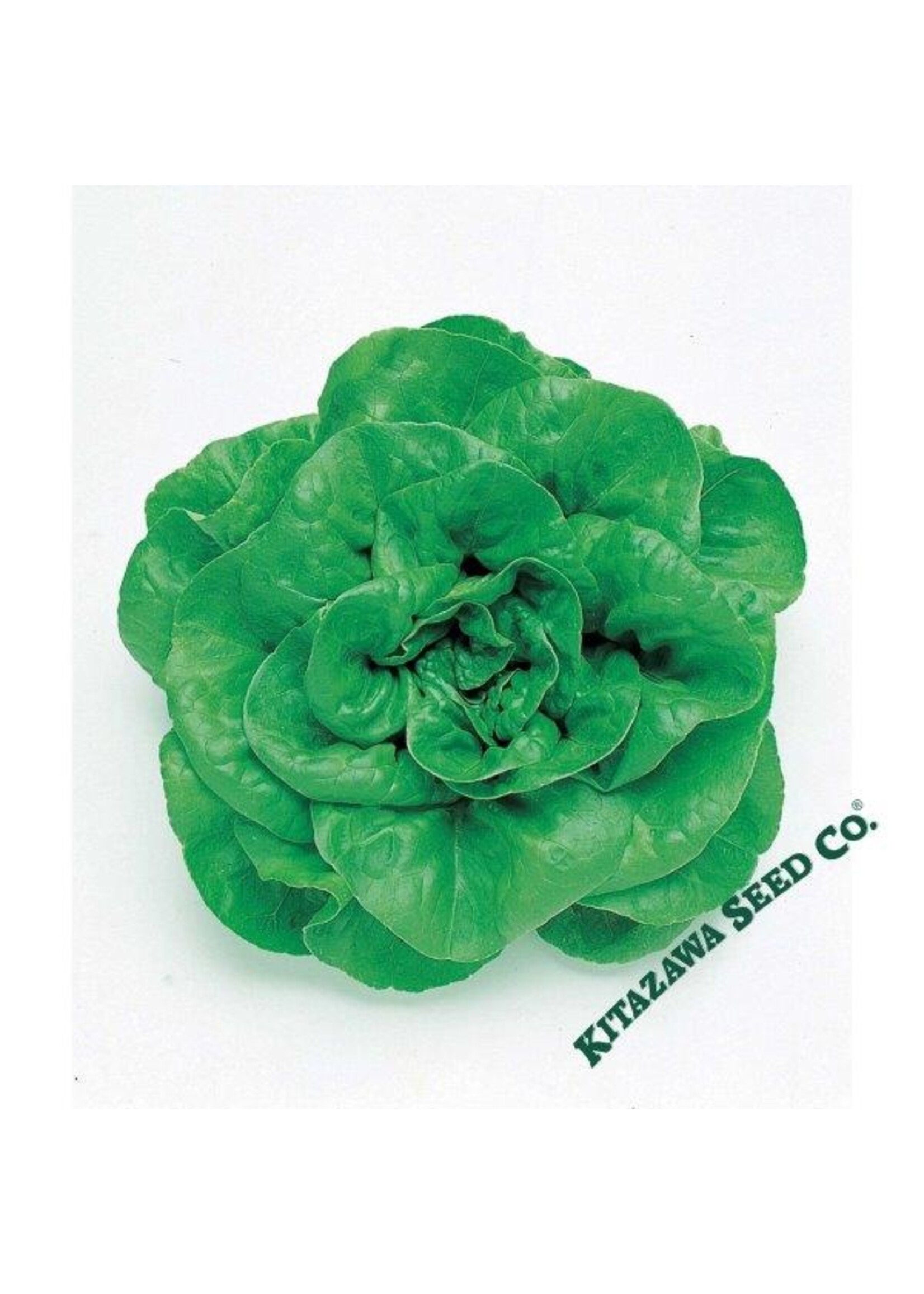 Kitazawa Seed Co. Butterhead Lettuce - Okayama Salad