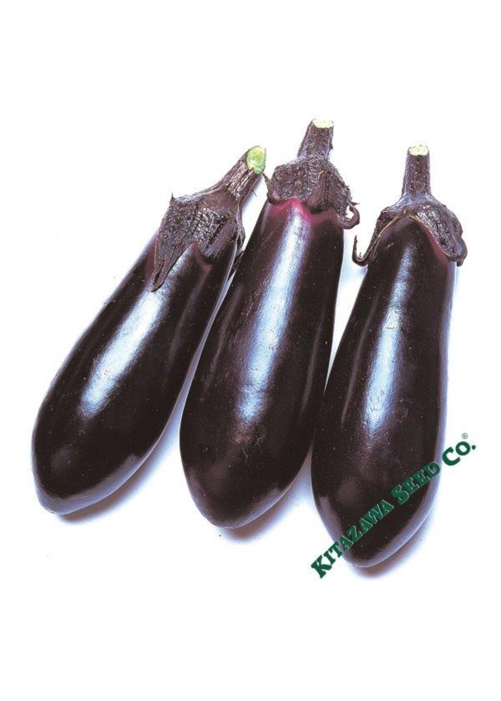Kitazawa Seed Co. Japanese Eggplant - Money Maker