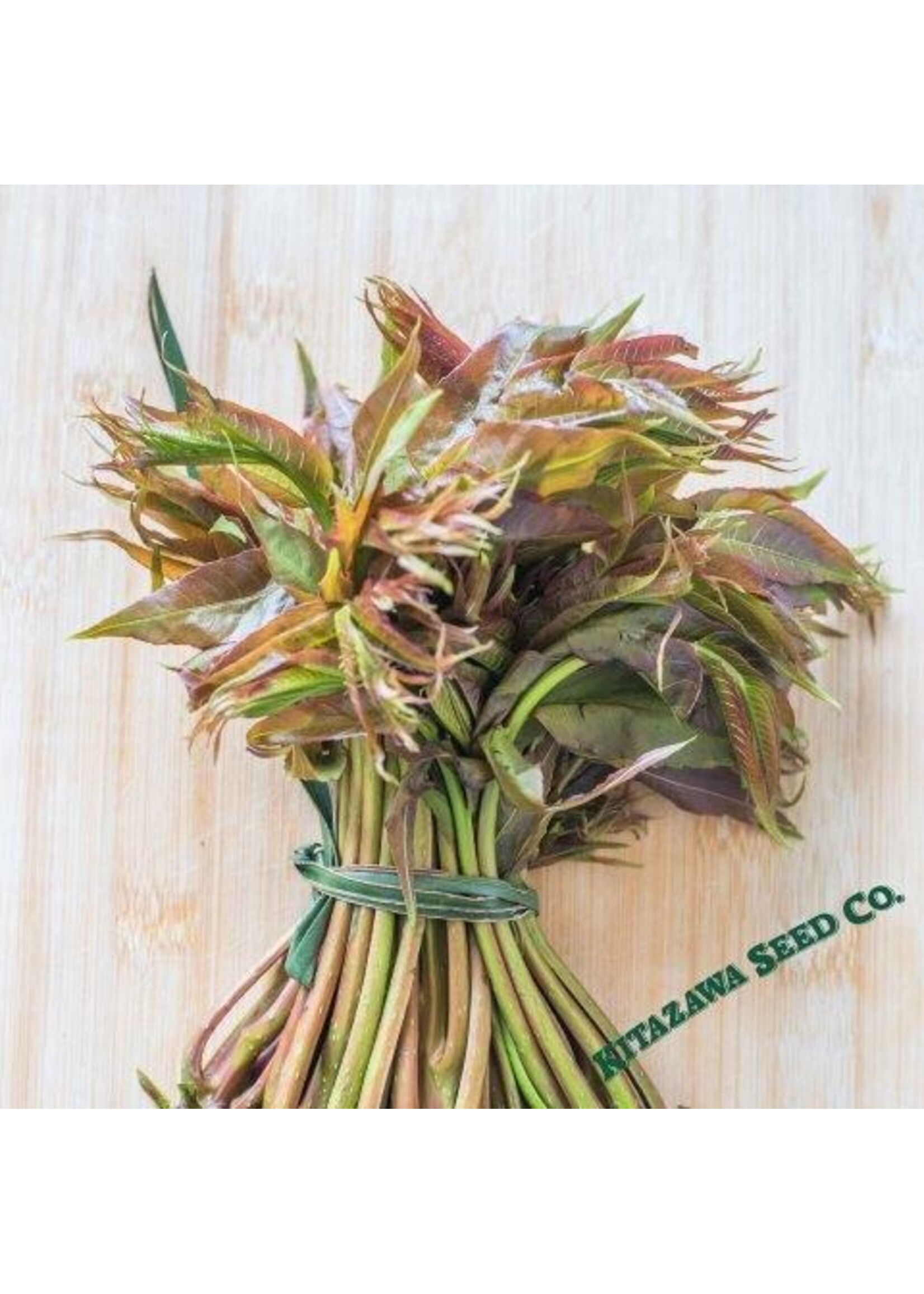 Kitazawa Seed Co. Chinese Toon - Toon North Red