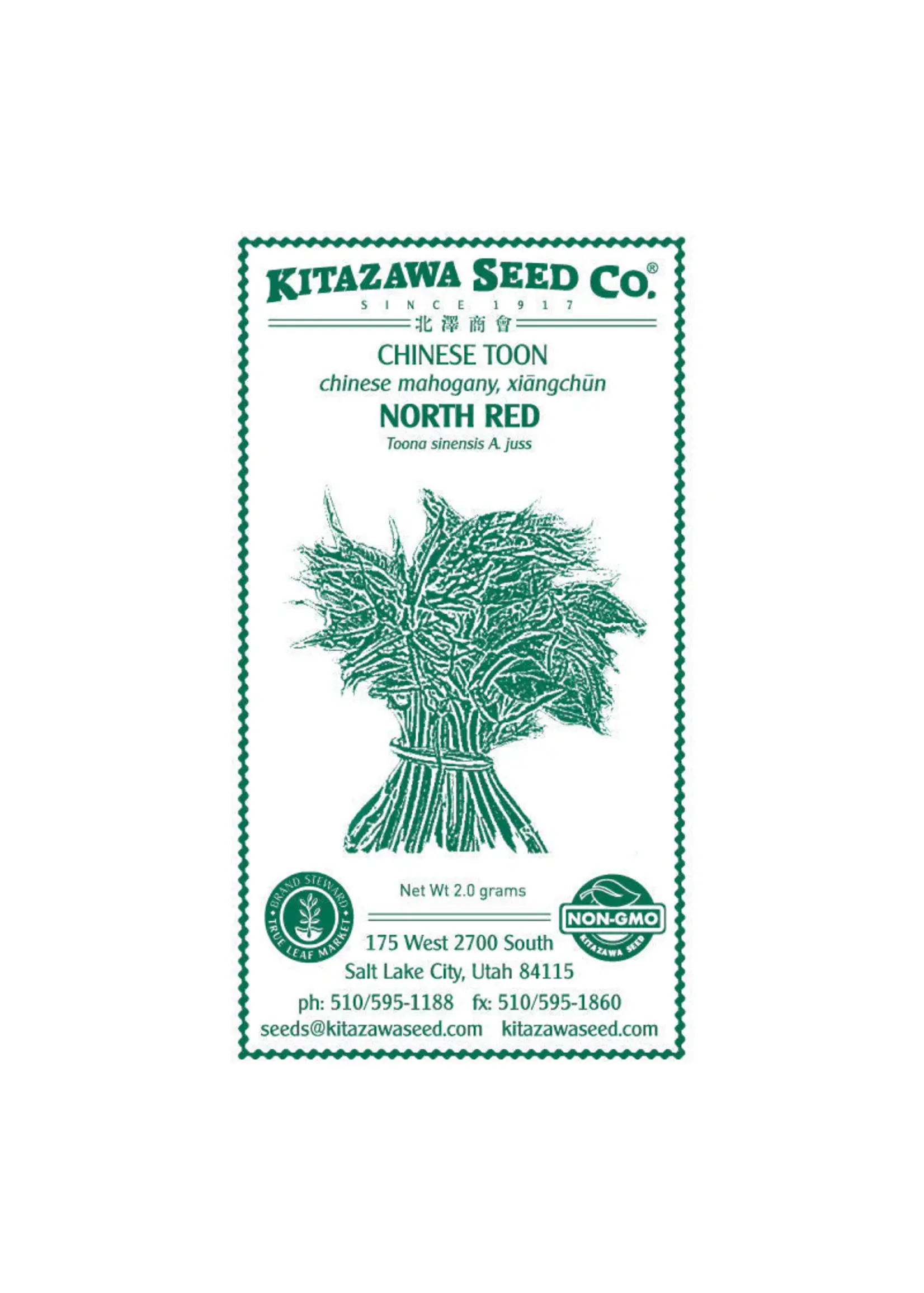 Kitazawa Seed Co. Chinese Toon - Toon North Red