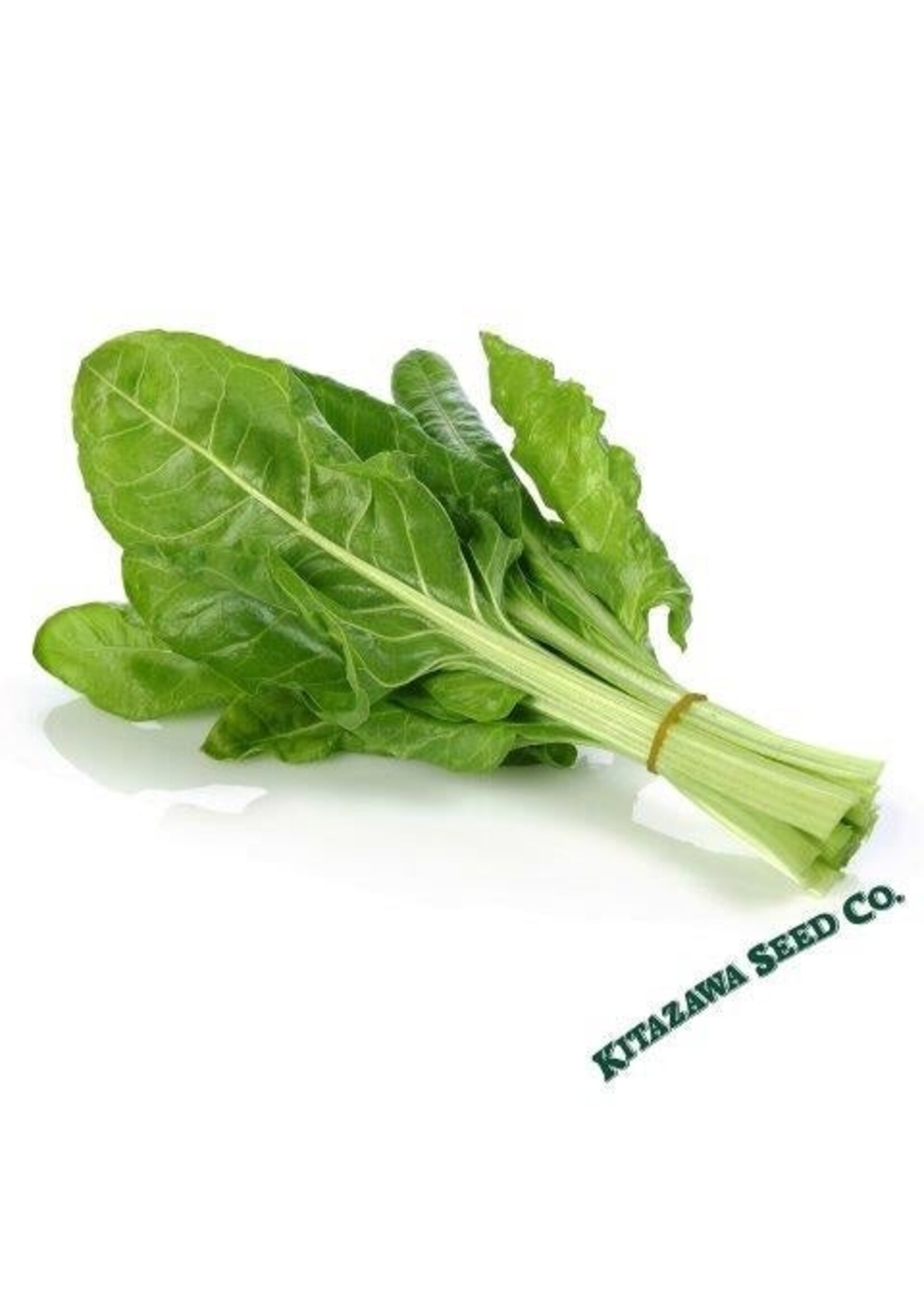 Kitazawa Seed Co. Swiss Chard - Japanese Umaina