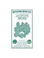 Kitazawa Seed Co. Cauliflower - Song TJS65 Hybrid