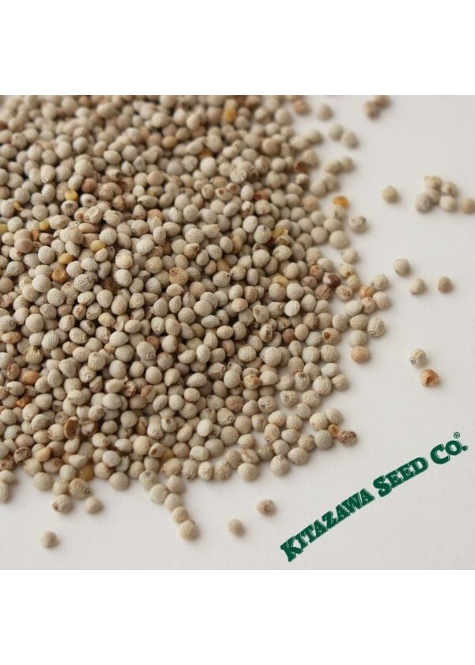 Kitazawa Seed Co. Ohba Shiso - Perilla - Green