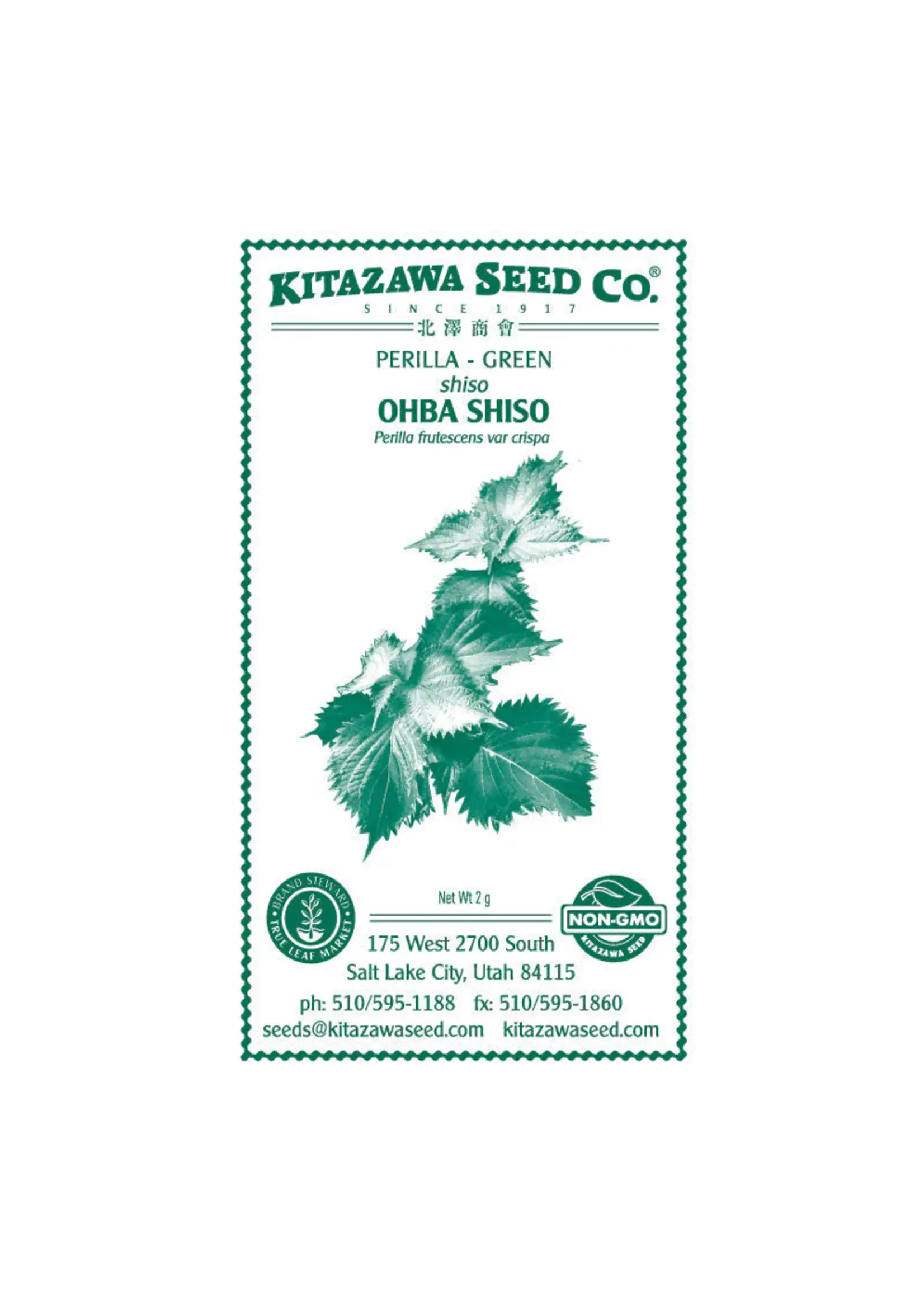 Kitazawa Seed Co. Shiso Perilla - Green Leaf