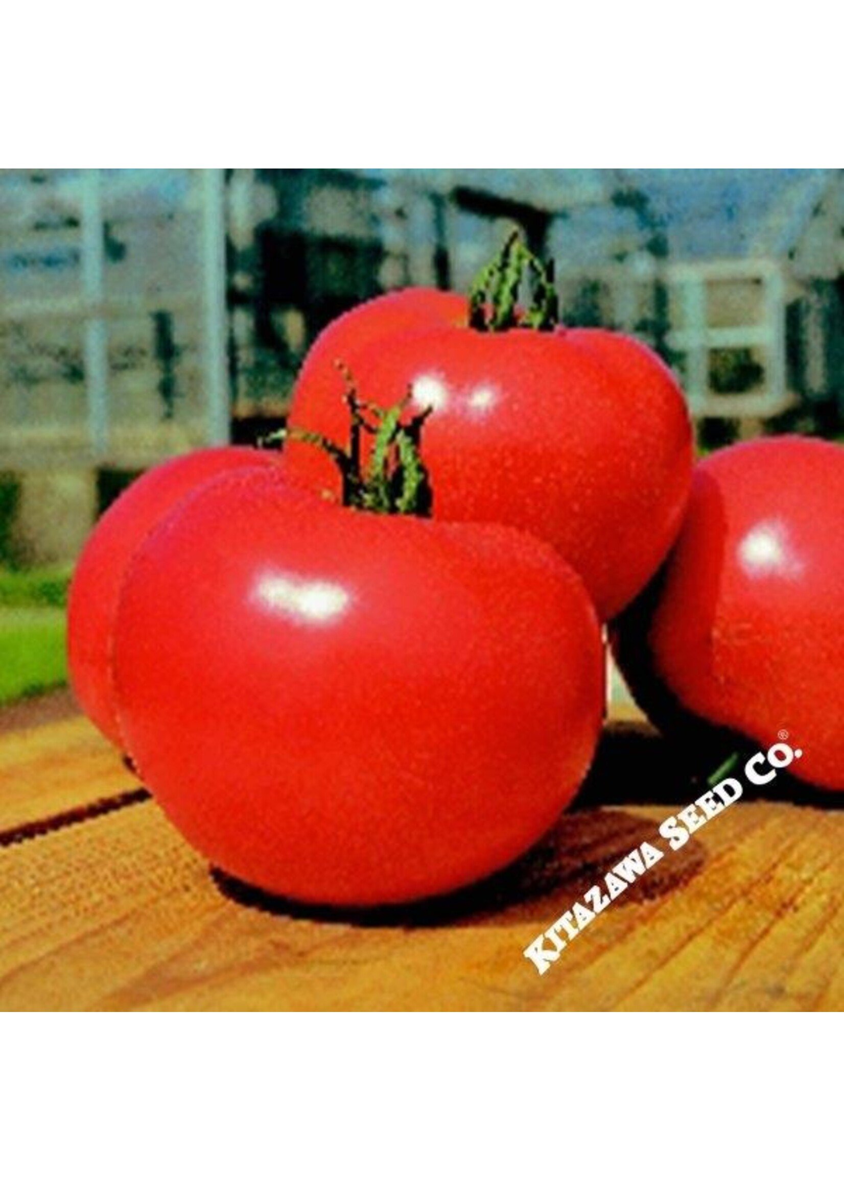 Kitazawa Seed Co. Tomato Japanese - Momotaro Hybrid