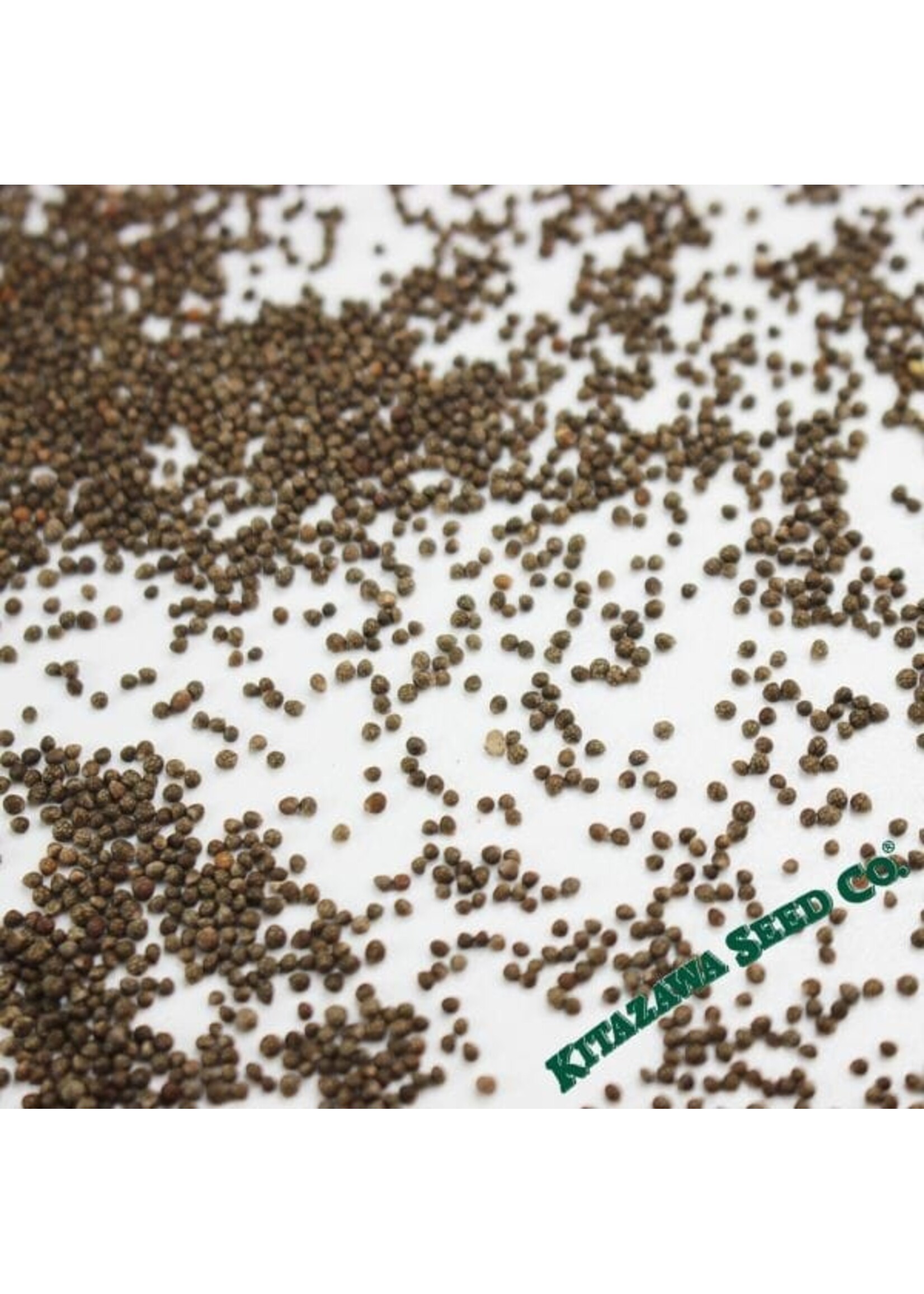 Kitazawa Seed Co. Shiso Perilla - Purple AKA Red Shiso