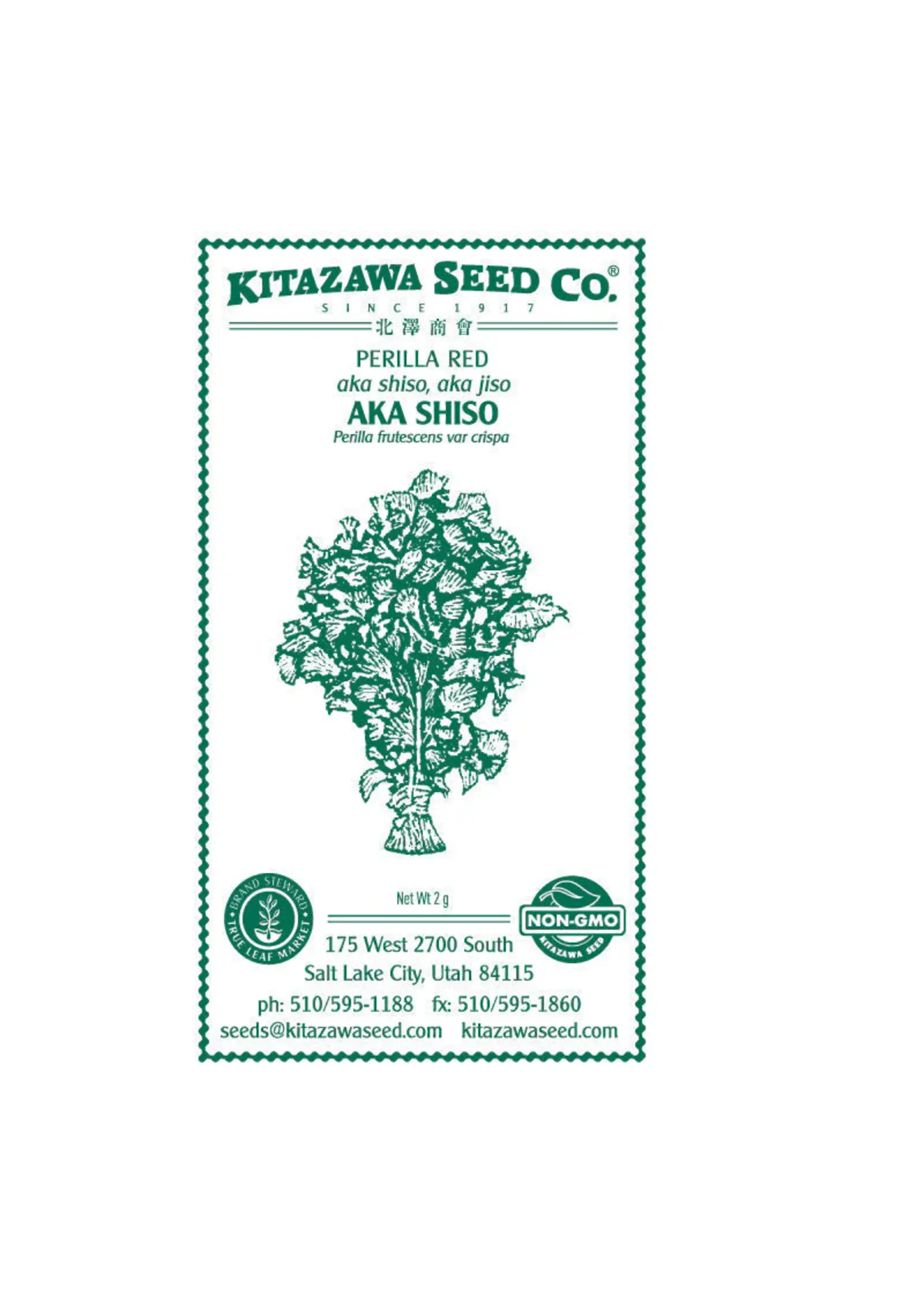 Kitazawa Seed Co. Shiso Perilla - Purple AKA Red Shiso