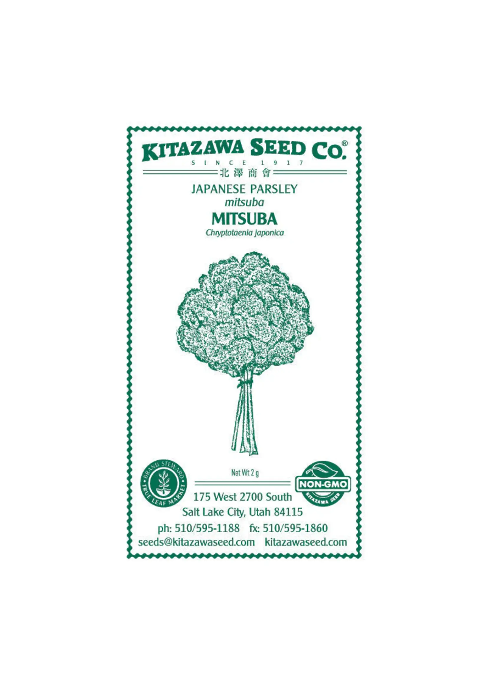 Kitazawa Seed Co. Japanese Parsley - Mitsuba
