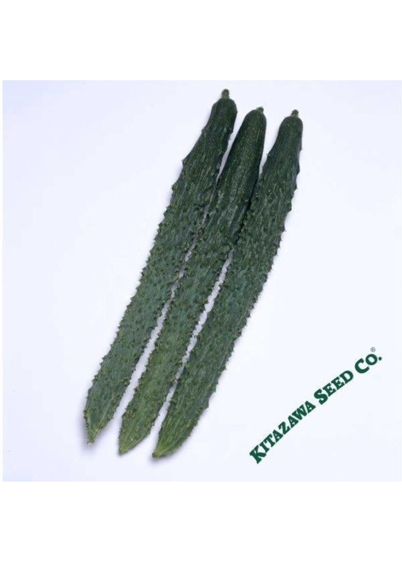 Kitazawa Seed Co. Cucumber Japanese - Palace Pride Hybrid