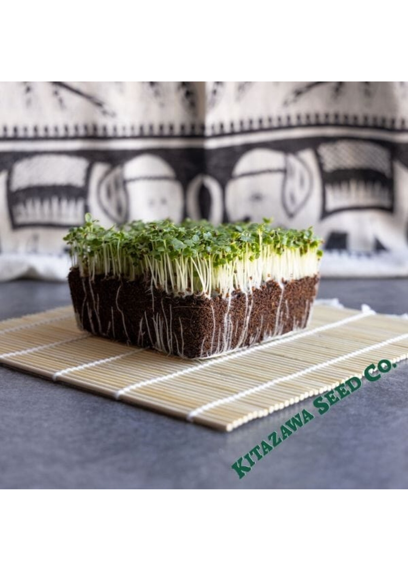 Kitazawa Seed Co. Pak Choi Cabbage - Shanghai